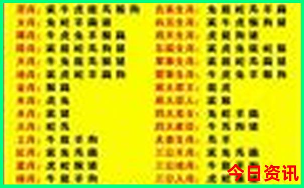 青岛适合七八十岁老人旅游的地方